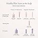 Oribe Serene Scalp Oil Control Shampoo, Lavender Packaging, 8.5 Fl Oz (Pack of 1)