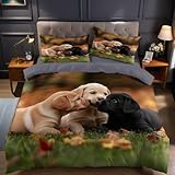 【Set Completo con Federe】: Il nostro set copripiumino include 1 copripiumino (135 x 200 cm) e 2 federe coordinate (50 x 80 cm), ideale per arredare la camera da letto con uno stile moderno e funzionale