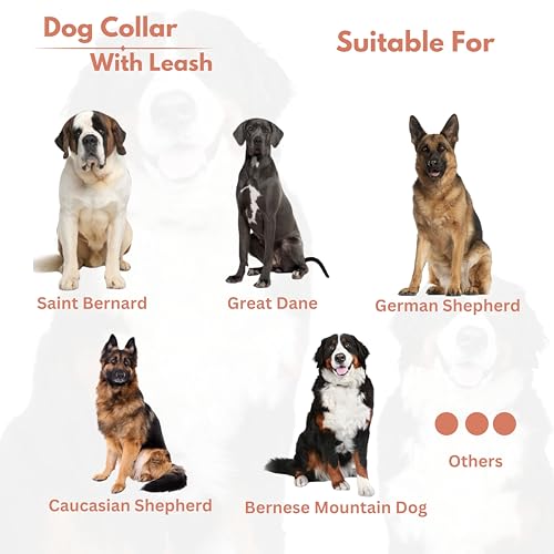 Ensemble collier et laisse pour chien en cuir souple marron clair 45cm - 7