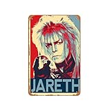 Dimensions : 20 x 30 cm Zuhhgii Plaque en métal vintage Jareth le roi gobelin du labyrinthe illustration musicale bar pub café mur cuisine salle de bain karaoké rétro décor art 20,3 x 30,5 cm plaque métallique
