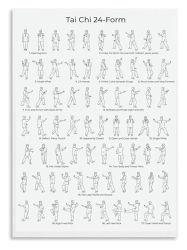 Traditional Tai Chi Practice Chart Metal Tin Sign 42 Form Movement Guide for Beginners Home Studio and Meditation Space 8 X 12 i