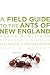 A Field Guide to the Ants of New England