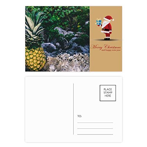 Cartes postales motif feuilles d'ananas : correspondance, lot de 20