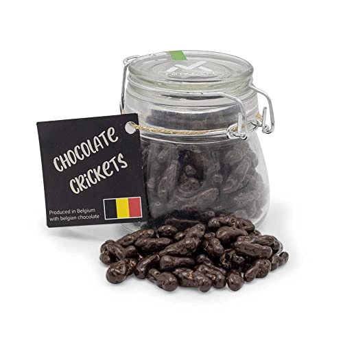 Chocolade omhulde krekels: Pure chocolade - Image 5