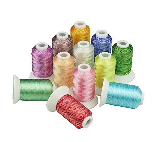 BPABDEITR Hilos de Coser Multiuso, Hilo de Bordar de rayón con 12 Colores Populares, Ideal for Cualquier máquina doméstica
