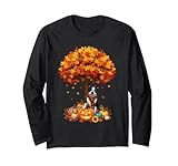 Photo Gallery albero autunnale del ringraziamento autunno boston terrier cani fogli maglia a manica Photo Gallery albero autunnale del ringraziamento autunno boston terrier cani fogli maglia a manica