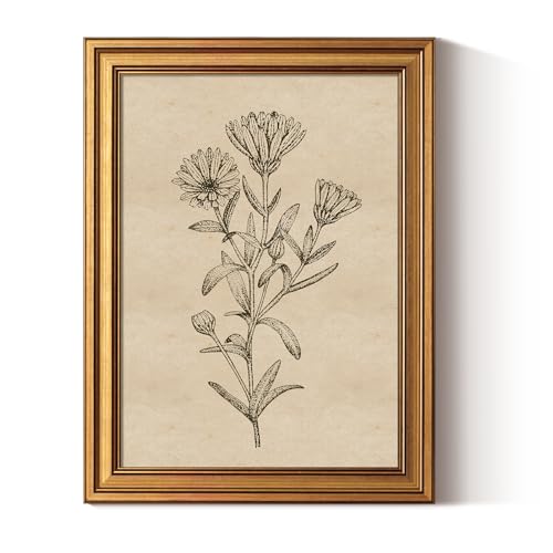 ARPEOTCY Gold Framed Canvas Art Prints,12x16inch, Botanical Wildflower Art Painting,