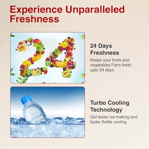 Image of Godrej 202 L 5 Star Advanced Inverter, Jumbo Vegetable Tray Direct Cool Single Door Refrigerator With Base Drawer(, RD 210E TDI MN WN, Marine Wine)