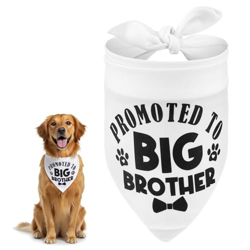 Promoted to Big Brother Dog Bandana Dog Bandana Pregnancy Announcement Dogs Bandanas Pet Scarf Accessories for Large Medium Small Dogs Announcements Ideas Pregnancy Gender Reveal Outfit for Doges Cat