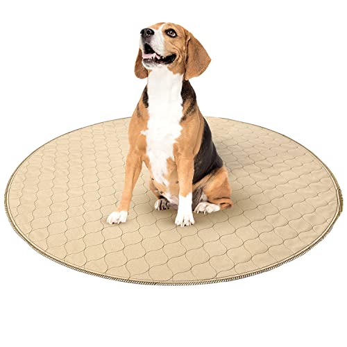 The 7 Best Washable Dog Pee Pads of 2023