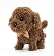 WeofferwhatYOUwant Labradoodle