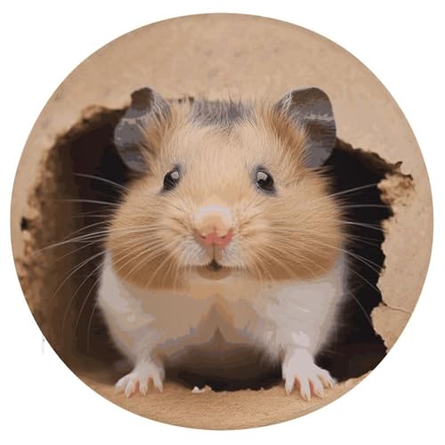Image of JTREHY Funny Hamste Cushion Soft Breathable Round Cushions Multi-Functional with Zipper Floor Pillows Cushion for Various Indoor Occasions Chair Pad