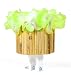 Cruiser Candy Tiki Cute Bicycle Drink Holder