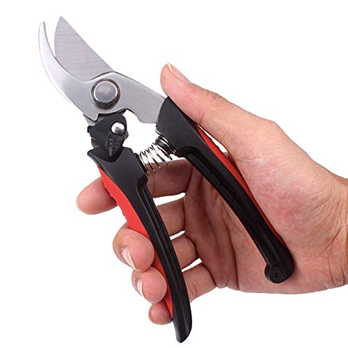 Preisvergleich Produktbild DXIA Bypass Gartenschere, Bypass-Handschere, Scharfe Schneidklingen Blumen, Präzise Schnitte, Rosenschere, Rebschere, Floristenschere, Bypass-Schere, Geeignet für Weiches Gehölz & Frischholz