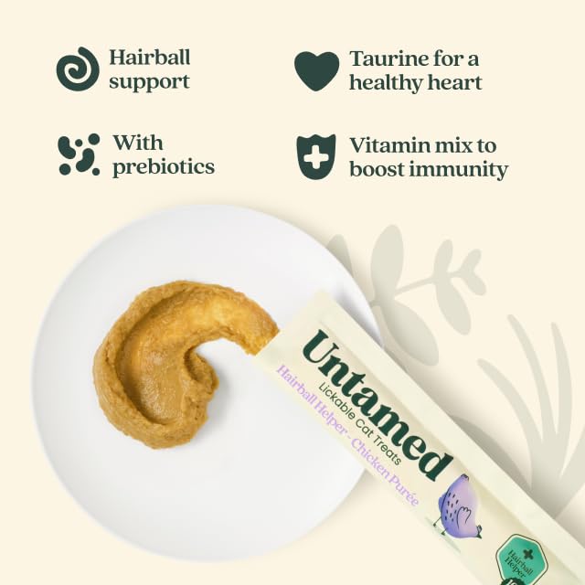 View 4
