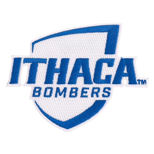 Desert Cactus Ithaca College Patch – Embroidered Iron On/Sew On Applique for Blazers, Jackets, Backpacks, Bags & Hats - IC Bombers (Patch B)
