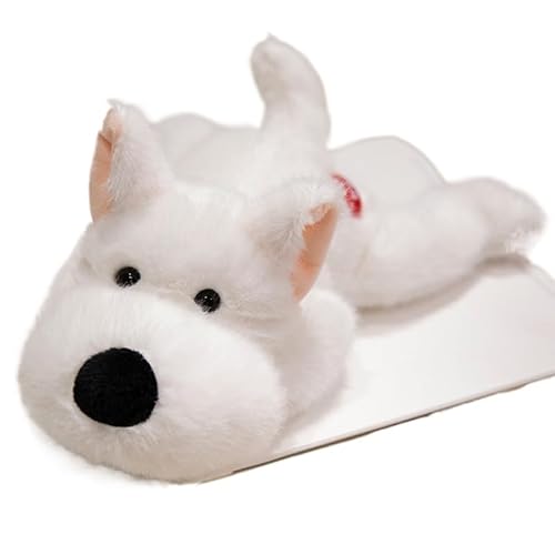 ʂ 킢ʂ QׂX^C p[gW[ ObY q eB[ ӂӂ   WCAgp_ Jso  | ,20cm