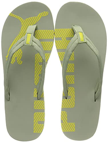 Image of PUMA Epic Flip V2 Synthetic Slipon Womens Athleisure Flip Flops
