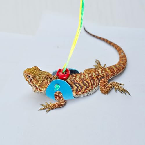 Image of AIITLE Multi-Size Bearded Dragon Leash - Comfortable Adjustable Harness for Reptiles & Small Animals (Outdoor Walks, Pet Events), Blue