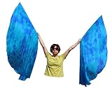 Winged Sirenny