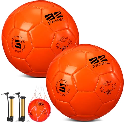 Shappy 2 Pcs Soccer Balls Bulk with Pump, Mesh Bag