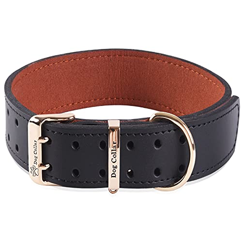 Collare per cani Largo e Spesso in...