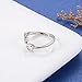 APOTIE 925 Sterling Silver Cross Ring - True Love Wait Purity Ring Cubic Zirconia Adjustable Ring Jewelry Gift for Women (True Love Wait)