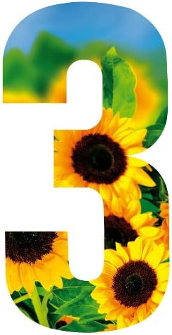 Wheelie Bin Number Sunflower 3