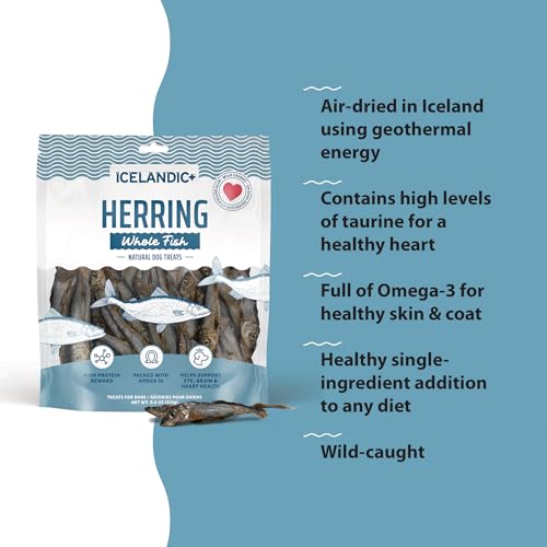 Image of Icelandic+ Whole Fish Herring 9oz Bag, Wild-Caught Air-Dried Dog Treats | Pure Single Ingredient Snack, High Protein & Omega-3 for Healthy Skin, Grain-Free Dental Chews for Dogs and Puppies