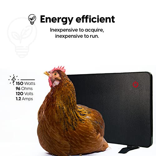 Econohome Safe Chicken Coop Heater thumb #5