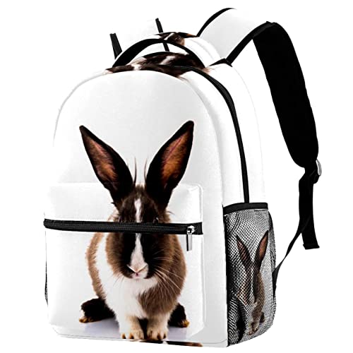 Mochila para portátil de conejo espaciosa que alivia el dolor de hombros