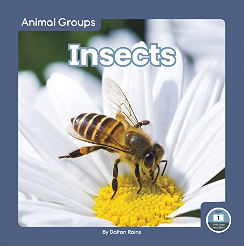 Insects (Animal Groups)