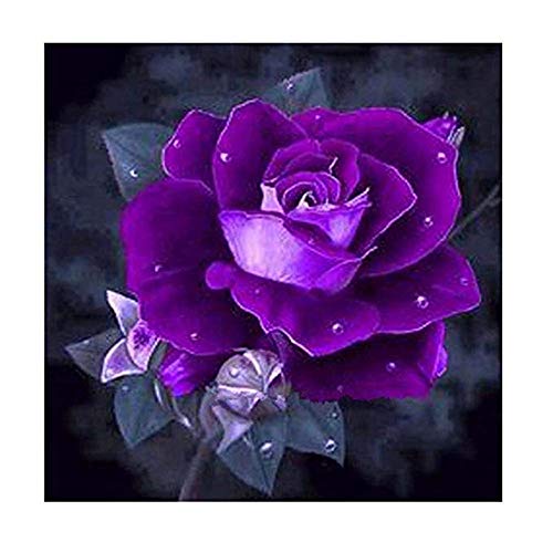 DIY 5D Diamond Painting by Number Kits, Diamond Embroidery Cross Stitch Kit Purple Rose 5D Diamond Rhinestone Painting Crystals Cross Stitch Picture Arts Home Decor Nearzstorn (Purple Rose, 30x30cm)
