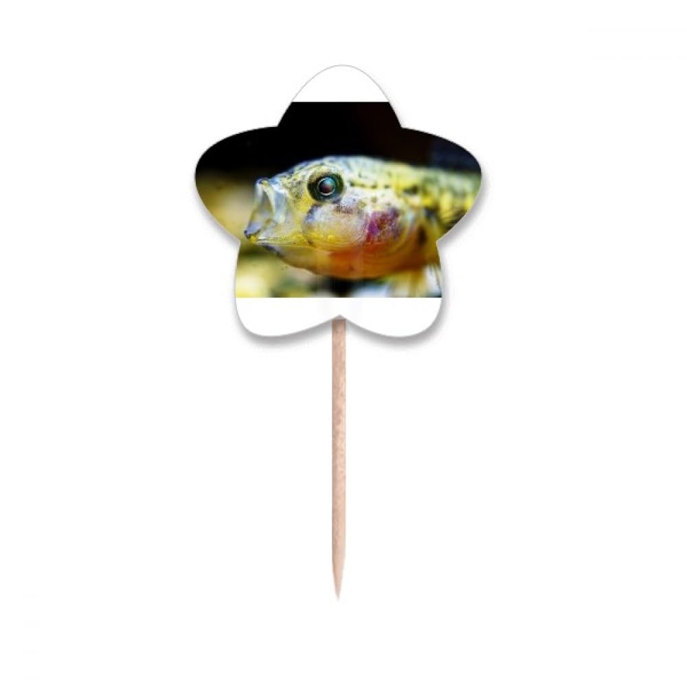 Cure-dents poisson tropical pour réussir facilement une décoration gâteau mer