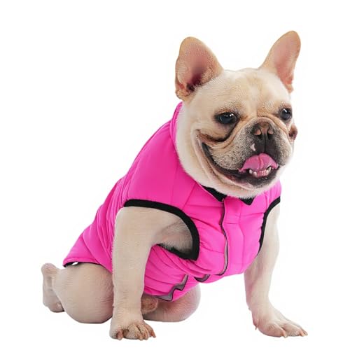 Best Waterproof Coat For Dog Walking fOR 2025