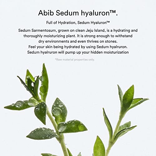Image of Abib Sedum hyaluron pad Hydrating touch (75 pads) | Hydrating for Dry Skin, Korean Skincare