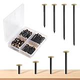 Acier trempé : clous photo fabriqués en acier trempé haute résistance avec un revêtement anti-rouille. Ces clous en béton pénètrent facilement dans les matériaux durs tels que le béton et les murs en brique sans se plier ou se casser, assurant ainsi stabilité et durabilité à long terme.