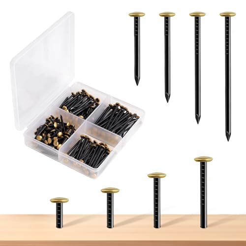 Clous de Suspension, 150 Pièces Clous Pointe (20/25/30/40mm) avec boîte de rangement, Cintres Photo Clous pour Suspendre des Photos, Cadres Photo, Miroir sur Bois de Béton Plâtre