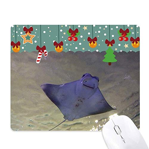 Tapis de souris skate Ocean Ray antidérapant haute précision