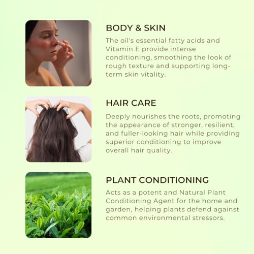 Image of Mystic Pure Neem Oil Cold Pressed For Skin & Hair | Therapeutic Grade Multi Purpose | Acne, Dandruff - 200ml