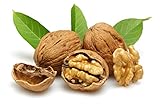 walnüsse gesund fürs herz ✅Gesundheit- Walnusskerne sind eine kostbare Quelle für Protein und sind natürliche Energielieferanten.Sie Sind reich an Vitamine und Mineralstoffe wie Vitamin E,B,Magnesium; Eisen und Kalium.