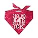 Stealing Hearts & Blasting Farts Scrunch Tie Dye Dog Bandana (Scrunch Tie Dye Red)