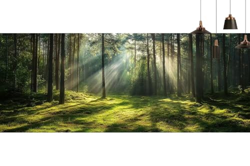 Broderie diamant kit complet paysage de forêt à offrir en cadeau créatif original