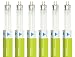 Triangle Bulbs T30021-6 (6 pack) - F8T5/WW, 8 Watt, T5, 3000K Warm White, 12" Straight Fluorescent Tube Light Bulb, 6  Pack