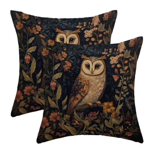 Sorktse Abstract Vintage Floral Pillow Covers 20x20 Inch Owl Throw Pillow Covers Set of 2 Farmhouse