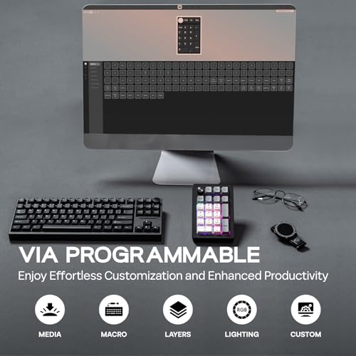 Image of EPOMAKER EK21 VIA Gasket Number Pad with 1000mAh Battery, BT 5.0 /2.4ghz /Wired Hot-Swap Numpad with Aluminum Alloy knob, Programmable for Win /Mac /Gaming (Black Silver, Wisteria V2 Switch) | Hot-Swap Numpad with Aluminum Alloy knob, Programmable for Win /Mac /Gaming (Black Silver, Wisteria V2 Switch)