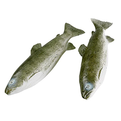 Deco Woerner Deko-Forellen 2 Stück Lebensmittel Attrappen aus Kunststoff frischer Fisch Meerestiere Fake Dummy Dekoration Imitat Plastikessen