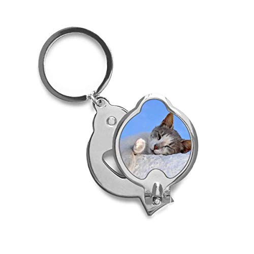Griffe de chat cassée ? Utilisez le ongle cutter trimmer pour soulager votre animal