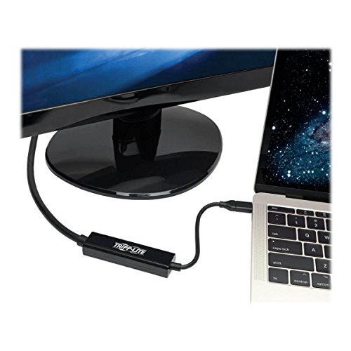 Cable adaptador USB C a DisplayPort 4K 6 ft miniatura 2