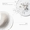 Clinique Acne Solutions مسحوق مقشر للوجه مع حمض الساليسيليك | يقلل من الزيت + مسام المسامير